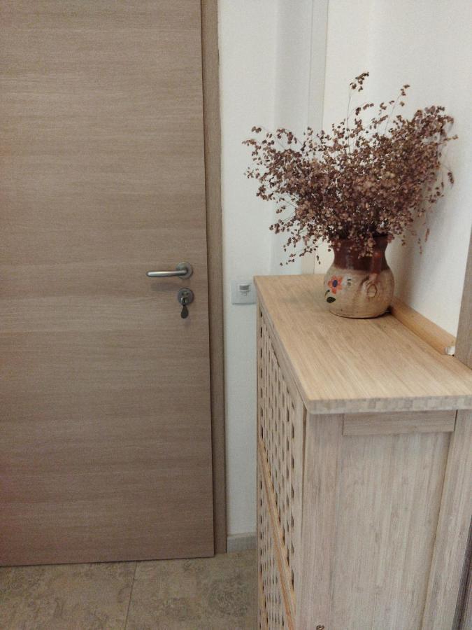 Apartma Jerman - צרקניצה מראה חיצוני תמונה