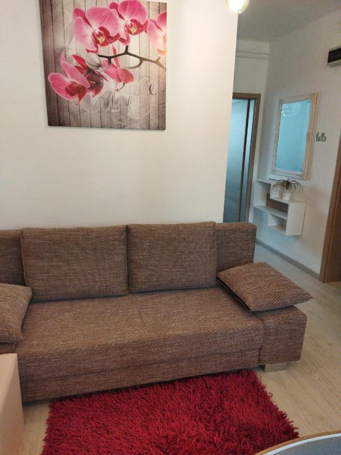 Apartma Jerman - צרקניצה מראה חיצוני תמונה